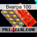 Виагра 100 new01